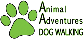 Animal Adventures Dog Walking